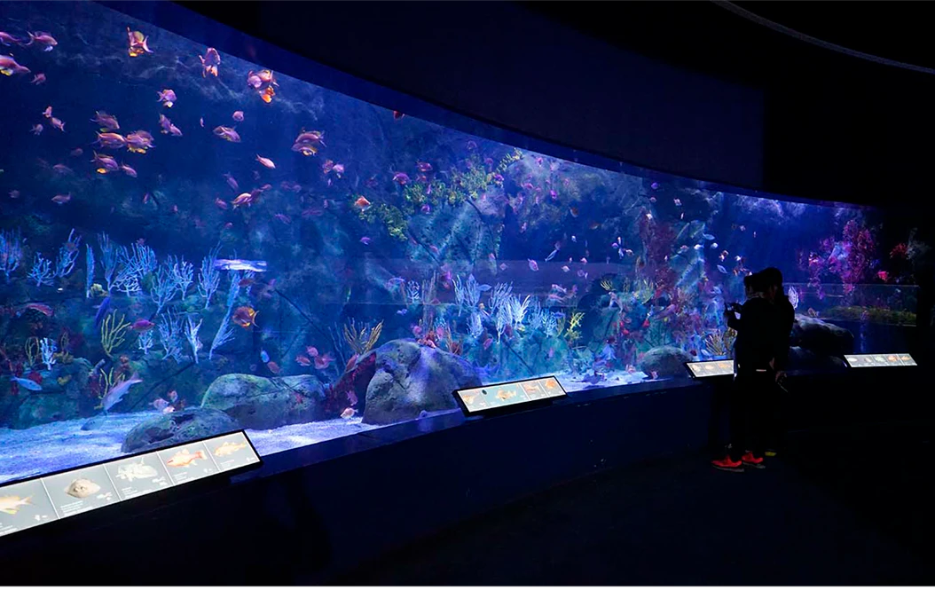 Custom aquarium design